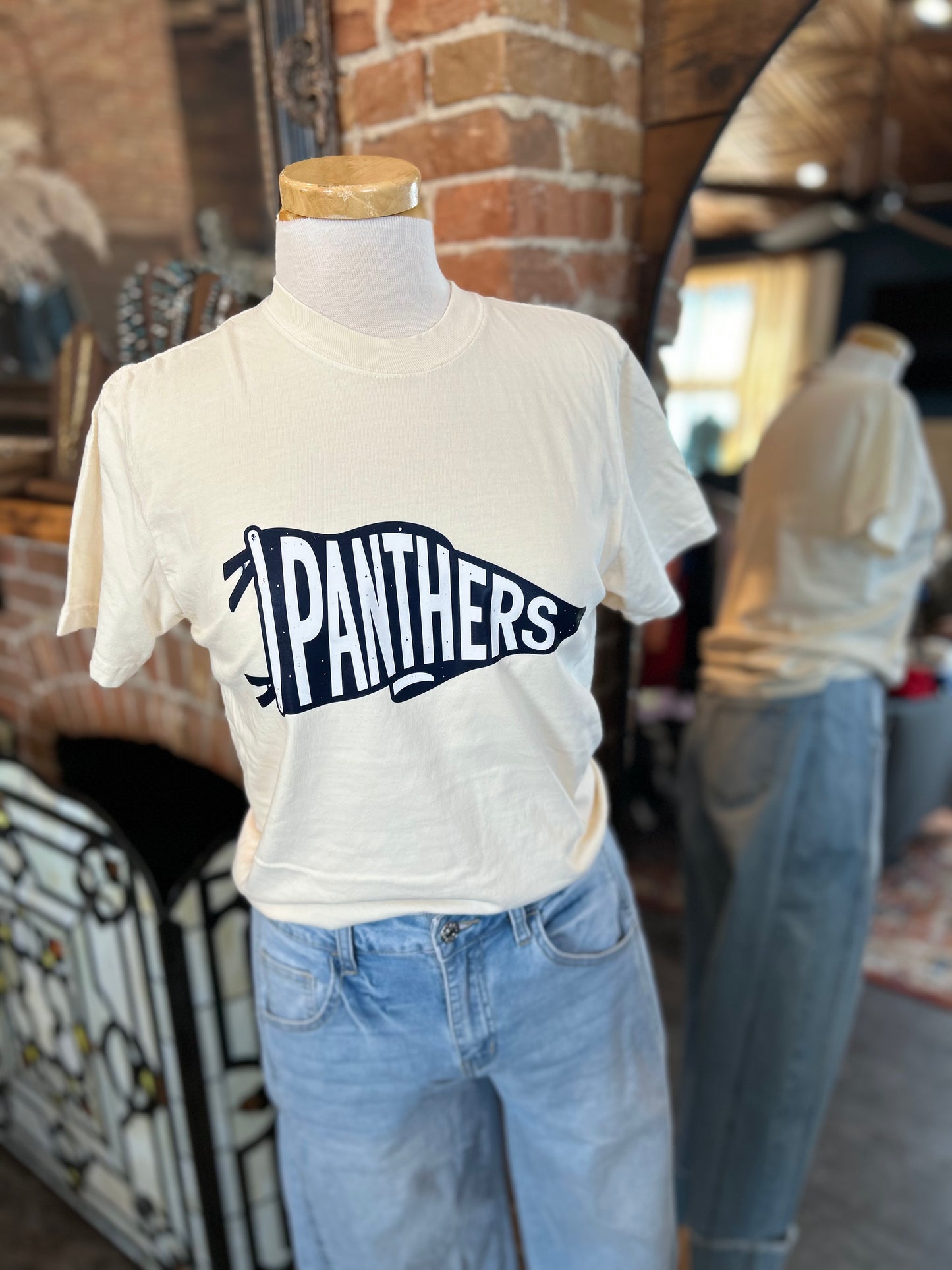 Panthers Flag Tee